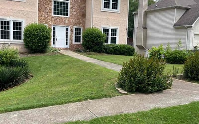 Photo of Brad F.'s yard after getting lawn care in Clyde, NC
