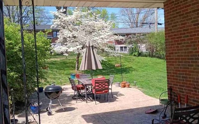 Photo of Dana R.'s yard after getting lawn care in Republic, MO