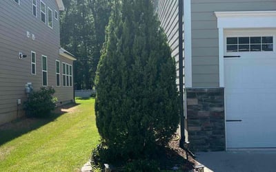 Photo of Marta T.'s yard after getting lawn care in Rome, NY