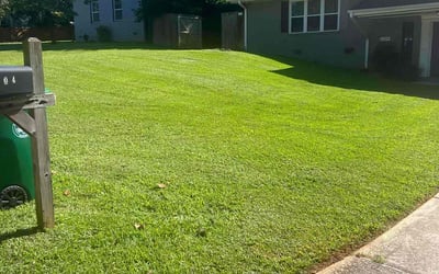 Photo of Matt V.'s yard after getting lawn care in Decatur, GA