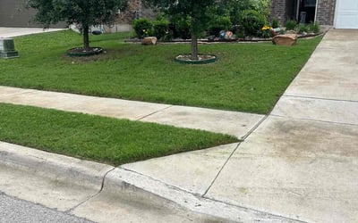 Photo of David C.'s yard after getting lawn care in West Columbia, SC