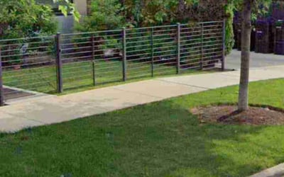 Photo of Amy W.'s yard after getting lawn care in Wheeling, IL