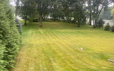 Photo of Brent S.'s yard after getting lawn care in Oxford, MI