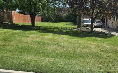 Photo of Hollie C.'s yard after getting lawn care in Bossier City, LA