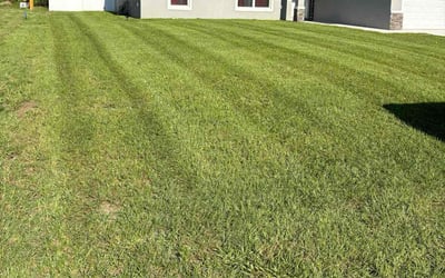 Photo of Joe B.'s yard after getting lawn care in Tucson, AZ