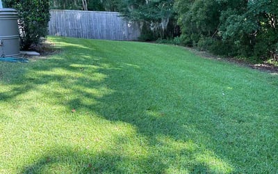 Photo of Cynthia A.'s yard after getting lawn care in Hanahan, SC