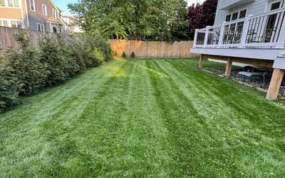 Photo of Amber B.'s yard after getting lawn care in Lake Charles, LA