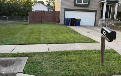 Photo of Dee D.'s yard after getting lawn care in Clermont, FL