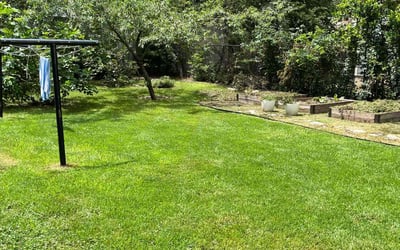 Photo of Savannah B.'s yard after getting lawn care in Newark, OH
