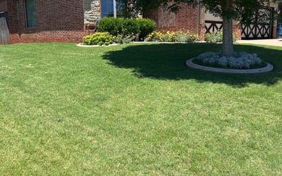 Photo of Kylee A.'s yard after getting lawn care in Oklahoma City, OK
