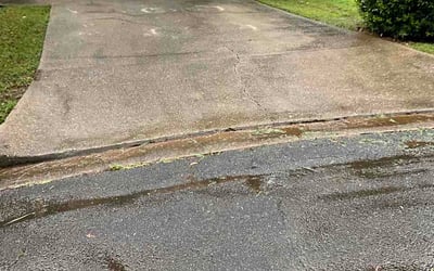 Photo of Grant M.'s yard after getting lawn care in Granger, IN