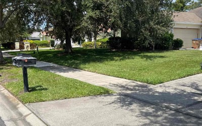 Photo of Maurice G.'s yard after getting lawn care in St. Louis, MO