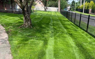 Photo of Kenedy D.'s yard after getting lawn care in Oklahoma City, OK