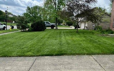 Photo of Louise P.'s yard after getting lawn care in Kent, WA