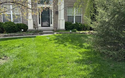 Photo of Christopher F.'s yard after getting lawn care in Cape May, NJ