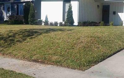 Photo of David T.'s yard after getting lawn care in Bremerton, WA