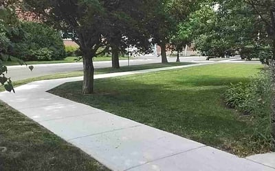 Photo of Raquel R.'s yard after getting lawn care in Evanston, IL