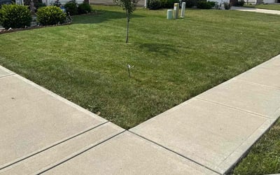 Photo of Marion B.'s yard after getting lawn care in Lusby, MD