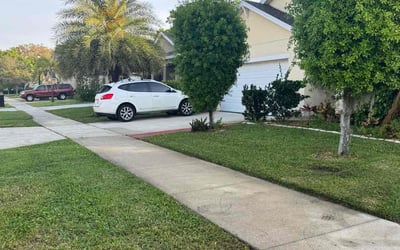 Photo of Peter G.'s yard after getting lawn care in Mims, FL