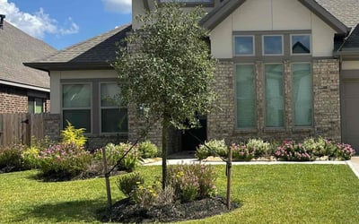 Photo of Becky A.'s yard after getting lawn care in Colorado Springs, CO
