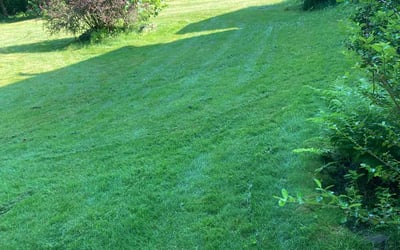 Photo of Burdette O.'s yard after getting lawn care in Milton, MA