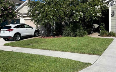 Photo of James S.'s yard after getting lawn care in Lehigh Acres, FL