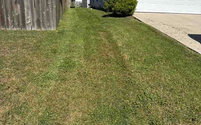 Photo of Daniel D.'s yard after getting lawn care in Austin, TX