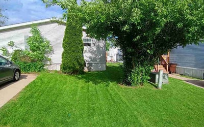 Photo of Nora S.'s yard after getting lawn care in Palm Beach, FL