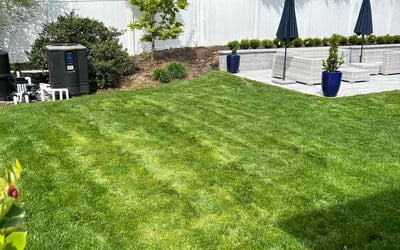 Photo of Walterina B.'s yard after getting lawn care in Paramus, NJ