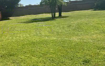 Photo of Teresa T.'s yard after getting lawn care in Rocklin, CA