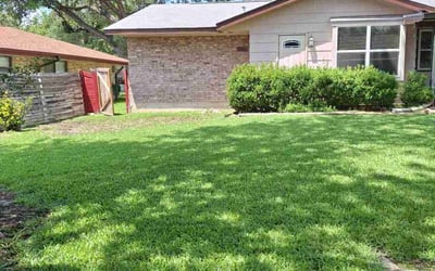 Photo of Daphne D.'s yard after getting lawn care in Charlotte, NC