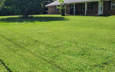Photo of Curtis G.'s yard after getting lawn care in Kingston, TN
