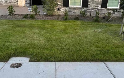 Photo of Marianna O.'s yard after getting lawn care in Lancaster, SC