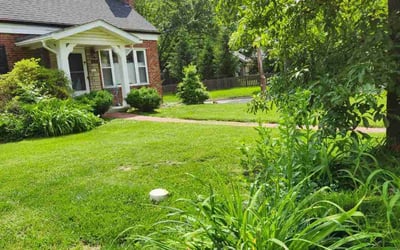 Photo of Erik T.'s yard after getting lawn care in Oakville, MO