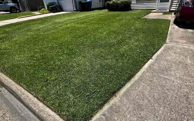 Photo of Jalen W.'s yard after getting lawn care in Staunton, VA