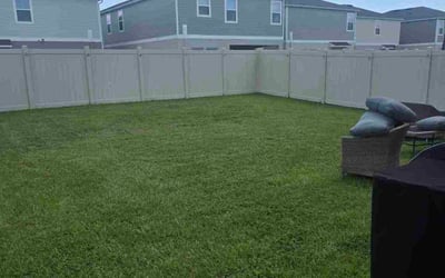Photo of Donna S.'s yard after getting lawn care in Taunton, MA