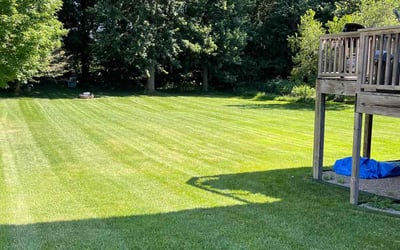 Photo of Amy R.'s yard after getting lawn care in Holt, MI