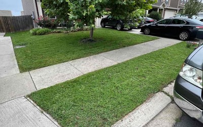 Photo of Robin D.'s yard after getting lawn care in Dyer, IN