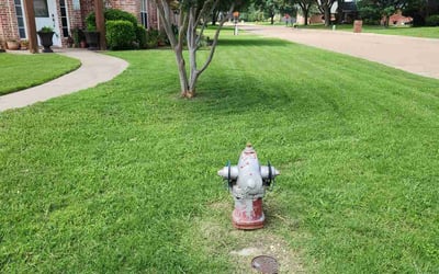 Photo of Clarence T.'s yard after getting lawn care in Narragansett, RI