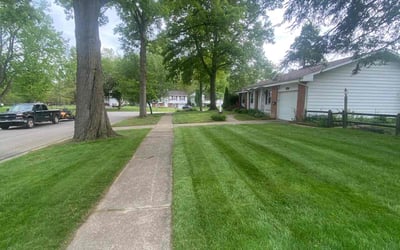 Photo of Netzach R.'s yard after getting lawn care in Toledo, OH