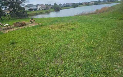 Photo of Vonn L.'s yard after getting lawn care in San Pablo, CA