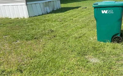 Photo of Courtney B.'s yard after getting lawn care in Middle River, MD
