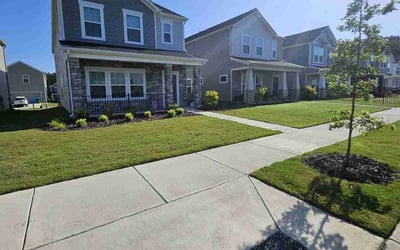 Photo of Warren B.'s yard after getting lawn care in Amarillo, TX