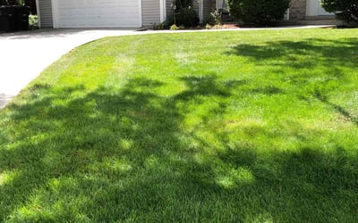 Photo of Serena R.'s yard after getting lawn care in Franklin, WI