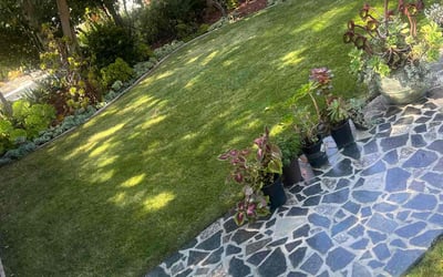 Photo of Jeffrey G.'s yard after getting lawn care in Pacifica, CA