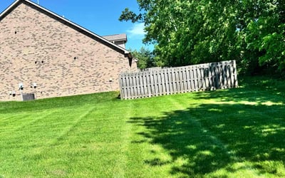 Photo of Aimee C.'s yard after getting lawn care in Puyallup, WA