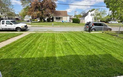 Photo of Mike R.'s yard after getting lawn care in Clifton Heights, PA