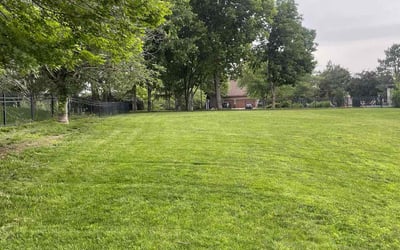 Photo of Moses M.'s yard after getting lawn care in Lexington, SC