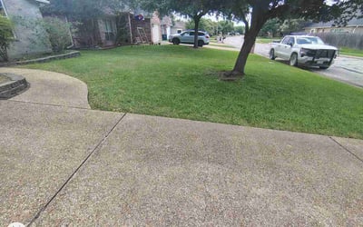 Photo of Nicole L.'s yard after getting lawn care in Parkville, MD