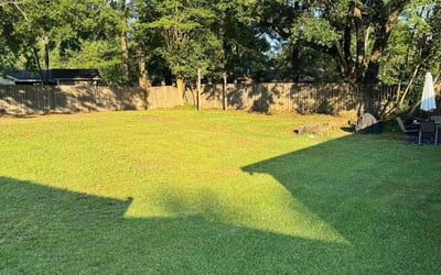 Photo of Vanis M.'s yard after getting lawn care in Theodore, AL